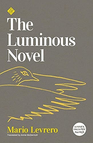 Cover image for The Luminous Novel