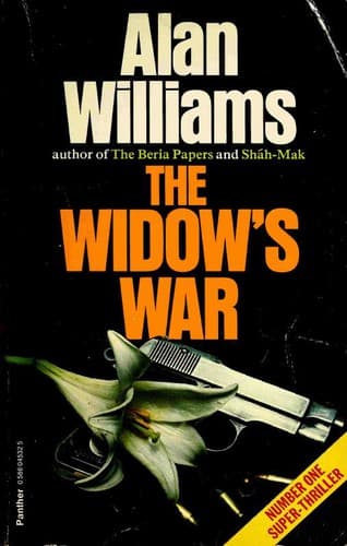 Cover image for The Widow's War