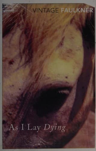 Cover image for As I Lay Dying