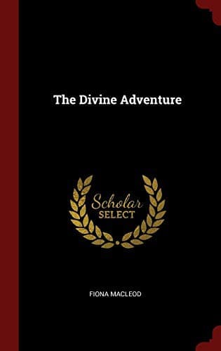 Cover image for The Divine Adventure