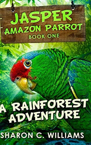 Cover image for A Rainforest Adventure