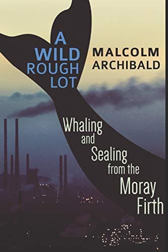Cover image for A Wild Rough Lot
