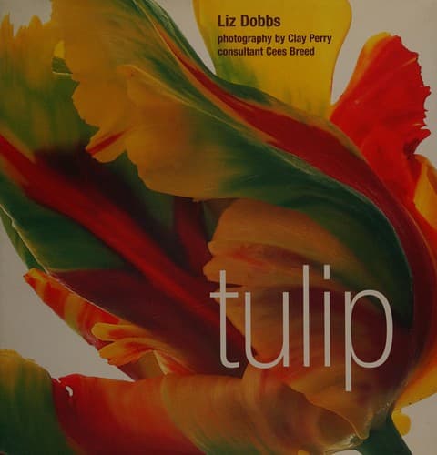 Cover image for Tulip