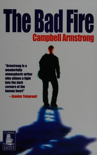 Cover image for The Bad Fire