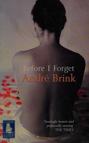 Cover image for Before I forget.