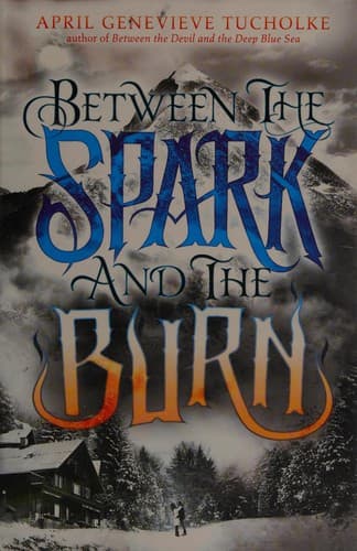 Cover image for Between the spark and the burn