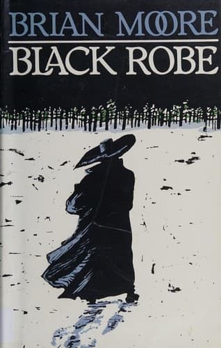 Cover image for Black robe