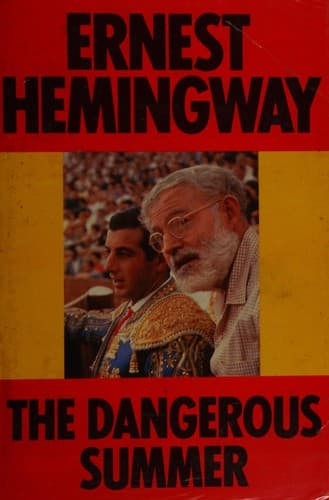 Cover image for The dangerous summer