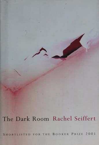 Cover image for The dark room