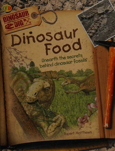 Cover image for Dinosaur food