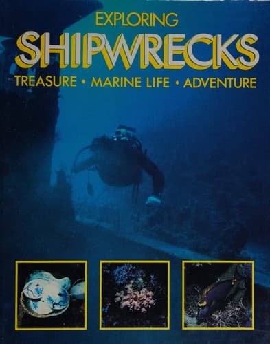 Cover image for Exploring shipwrecks
