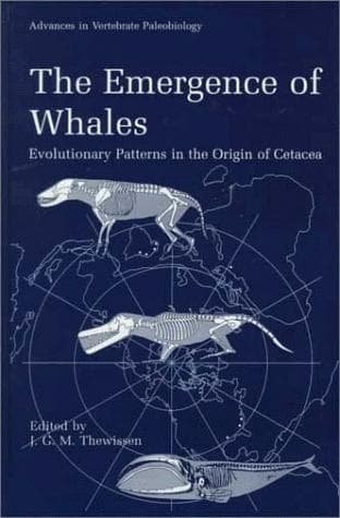 The emergence of whales
