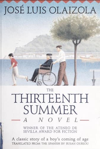 Cover image for The thirteenth summer