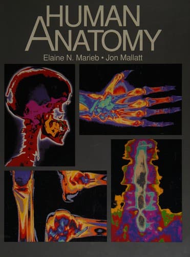 Cover image for Human anatomy