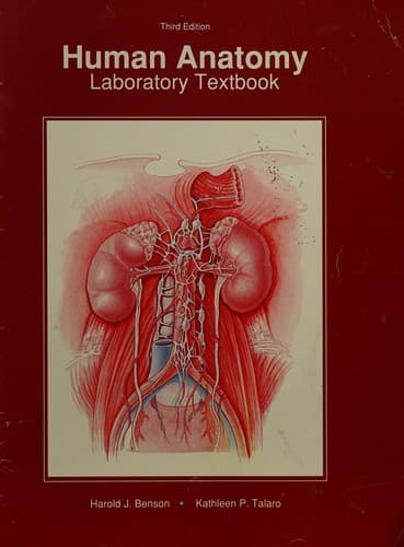 Cover image for Human anatomy