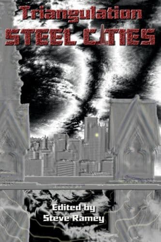 Cover image for Triangulation