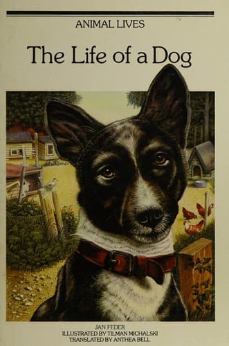 Cover image for The life of a dog