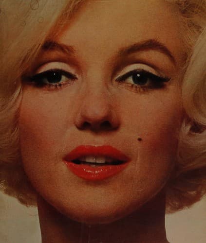 Cover image for Marilyn, a biography.