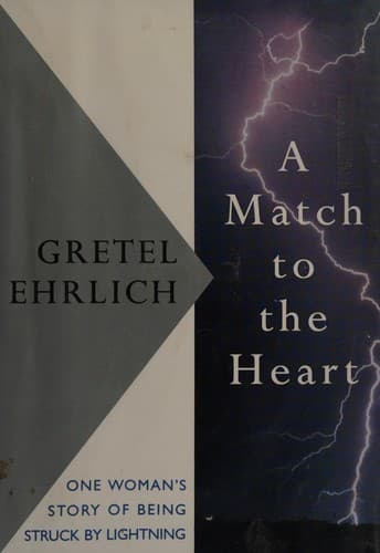 Cover image for A match to the heart