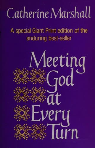 Cover image for Meeting God at Every Turn