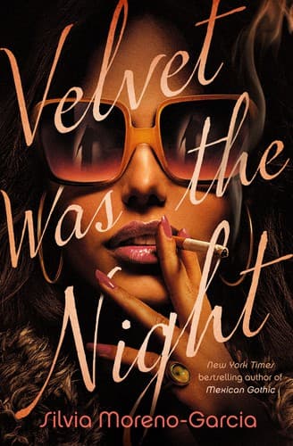 Cover image for Velvet Was the Night