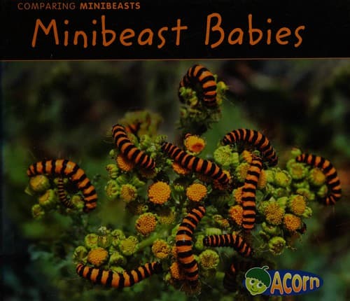 Cover image for Minibeast babies