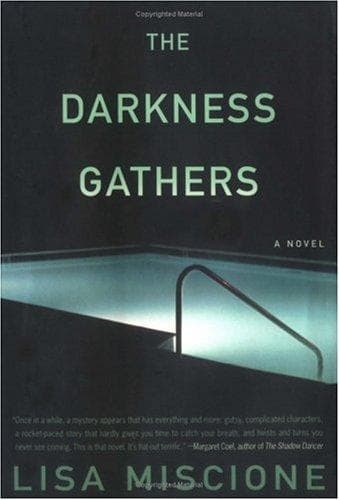 Cover image for The darkness gathers