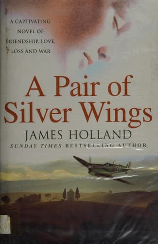 Cover image for Pair of Silver Wings