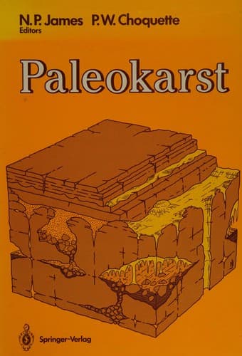 Cover image for Paleokarst