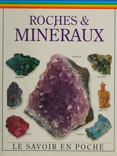 Cover image for Roches et minéraux