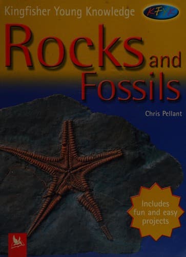 Cover image for Rocks and fossils