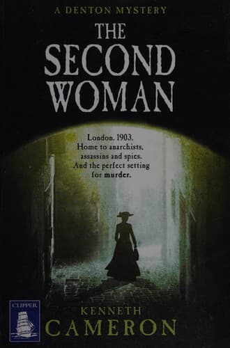 Cover image for The second woman