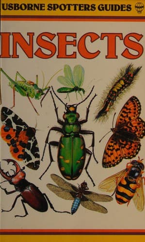 Cover image for Spotter's guide to insects