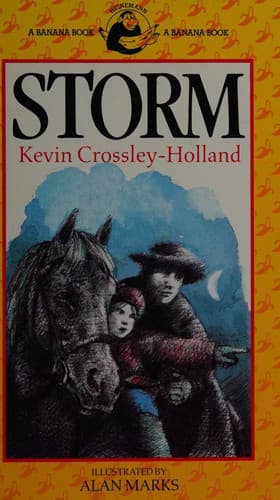 Cover image for Storm