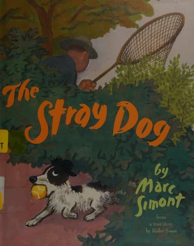 Cover image for The stray dog