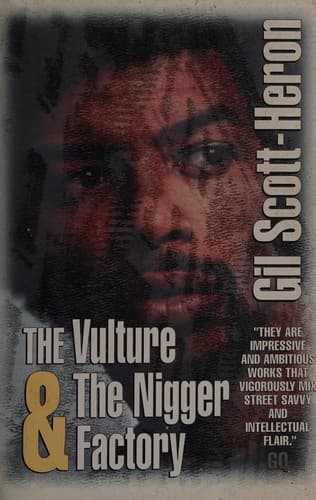 Cover image for The vulture and the nigger factory