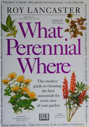 Cover image for What perennial where?