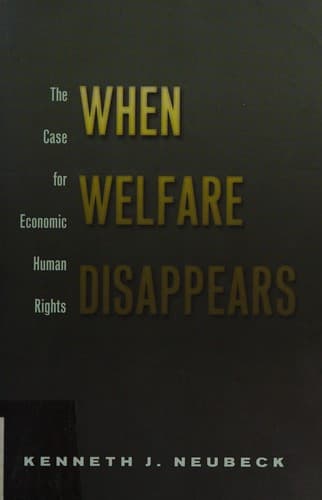 Cover image for When welfare disappears