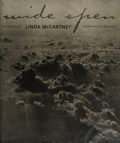 Cover image for Wide open