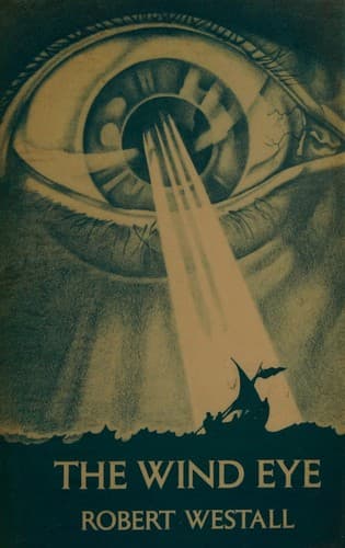 Cover image for The wind eye