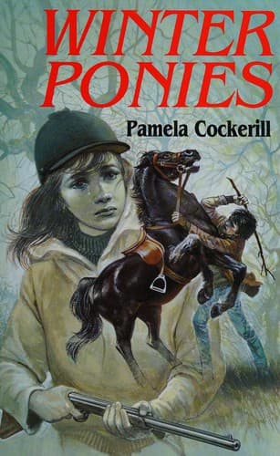 Cover image for Winter Ponies