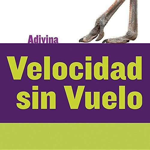 Cover image for Velocidad Sin Vuelo