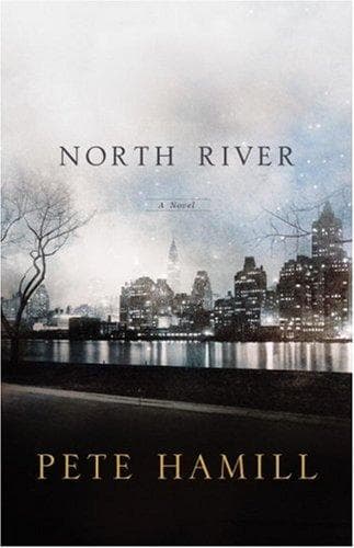 Cover image for North River