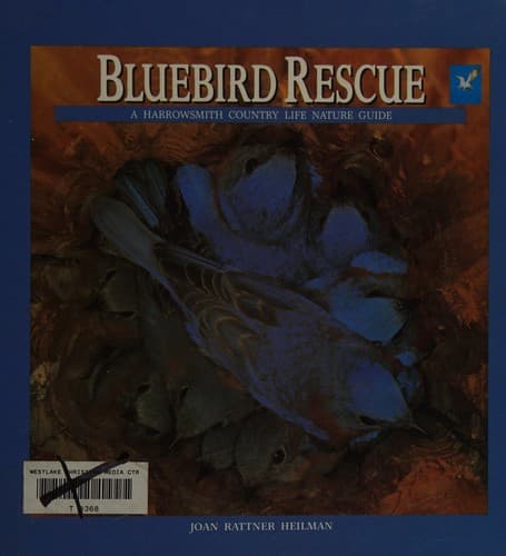 Cover image for Bluebird rescue