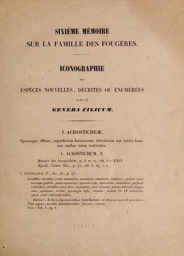 Iconographie des espèces nouvelles décrites ou énumérées dans le genera filicum et révision des publications antérieures relatives à la famille des fougères