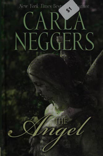 Cover image for The angel