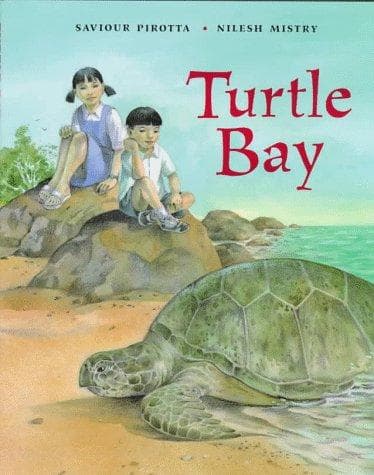 Cover image for Turtle Bay