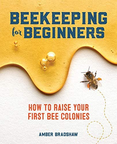 Cover image for Beekeeping for Beginners