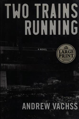 Cover image for Two trains running