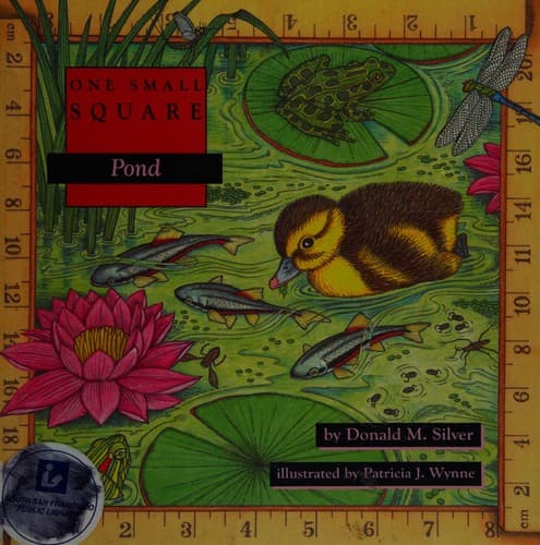 Cover image for Pond